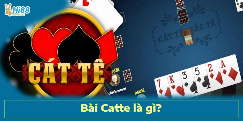 Bài Catte Là Gì? Tìm Hiểu Tất Tần Tật Từ A Đến Z Tại Hi88